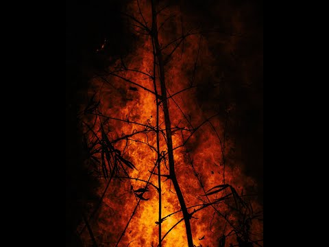 Ezekiel 20:46   The Word of The LORD manifested. Fire