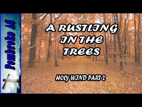 Church Service - Pembroke Assembly of God - A Rustling in the Trees - 2 Samuel 5:17-21