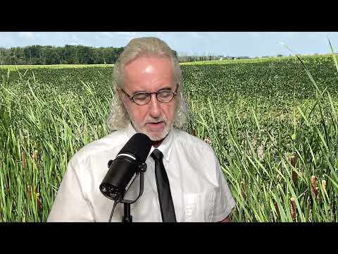 Scripture Verse By Verse (2024) Matthew 2:13-23