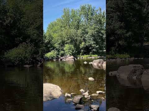 998. Coffee Break (express) Colossians 1:3