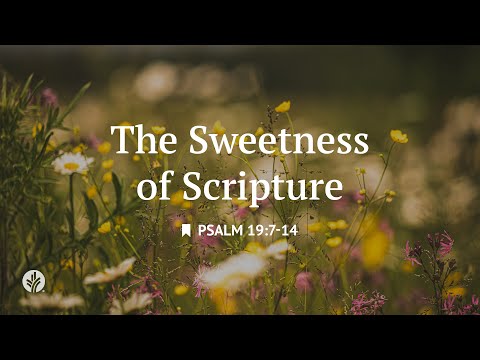 The Sweetness of Scripture | Personal Reading with Soundscapes From "Our Daily Bread" Devotional