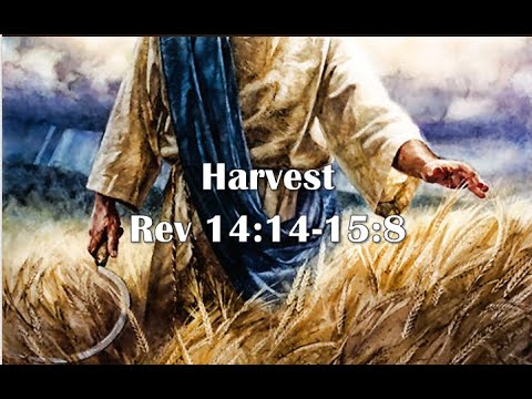 Sunday Service 2-06-2022-Harvest-Revelation 14:14-15:8