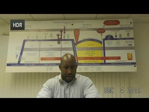 1 Corinthians 15:29-32