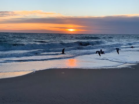 Coffee Break.(5 Minutes with God) Psalm 119:57