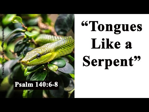 Psalm 140:6-8; October 14, 2020