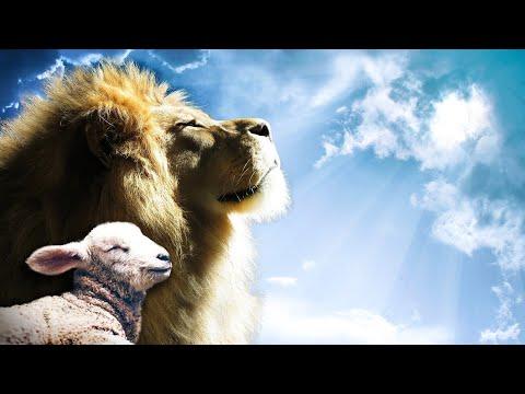 Isaiah 11:6-9 "The Lion Will Lie Down with the Lamb" May 8, 2020