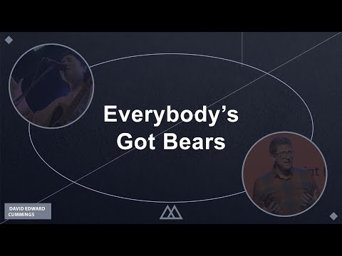 Everybody's Got Bears