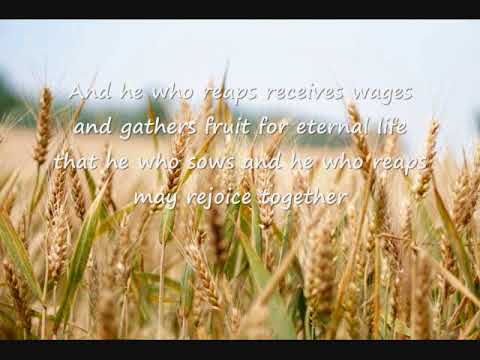 My Food (John 4:34-38)