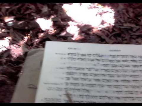 Genesis 6:9-14 in Classical Hebrew