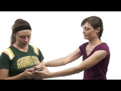 WiseUp - One Minute Proverbs 15:5