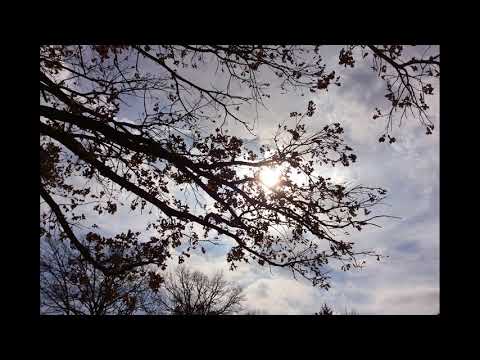 Scripture Verse By Verse (3) Jeremiah 45:1-47:7