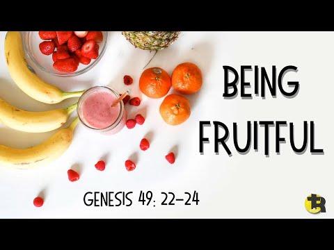 Being Fruitful Genesis 49: 22-24