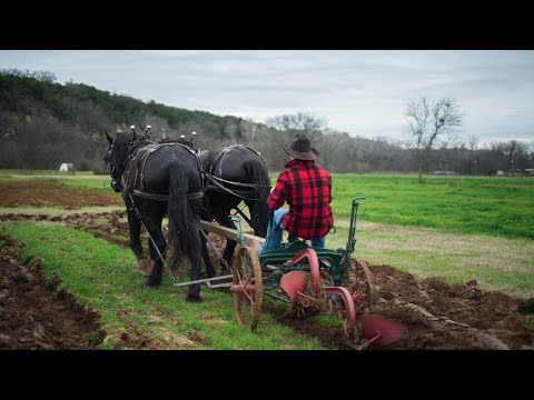 Break Up Your Fallow Ground - Jeremiah 4:3-31