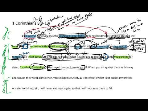 Passage Breakdown - 1 Corinthians 8:9-13 | Freed to Love - Week 2