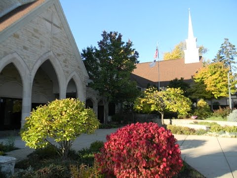 Peace and a Bag of Worms - Job 25:2