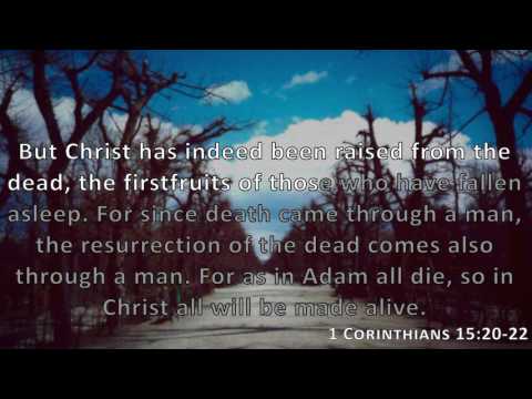 1 Corinthians 15:20-22, Holy Bible, NIV