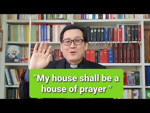 Today's Holy Gospel: Homily and Reflection: Luke 19:45-48 (20/11/2020) Fr Andrew Lee????????????