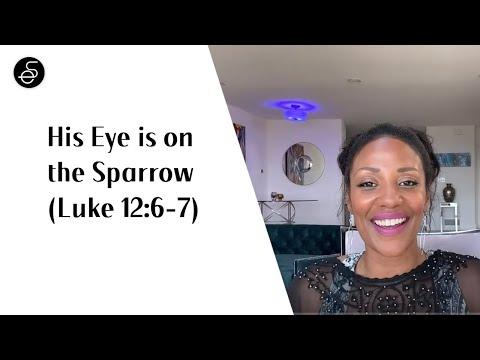 His Eye is on the Sparrow (Luke 12:6-7) #faith #protection #wholeness