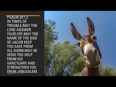 By The Power Of Your Hand,O LORD Psalm 17:14.