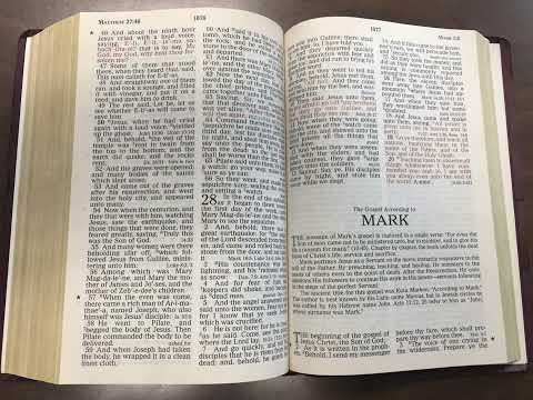 #100 Mark 11:11-12
