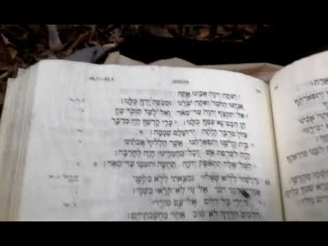 Isaiah 65:1-5 in Biblical Hebrew