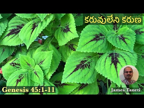 కరువులేని కరుణ/Genesis 45:3-11/Seventh Sunday after the Epiphany/Telugu Christian Sermons