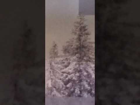 God promises Israel's restoration Ezekiel 11:16-25