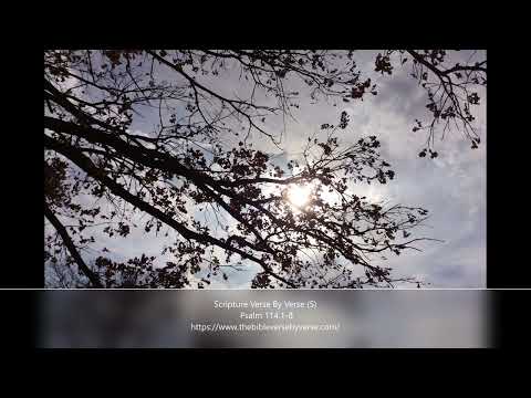 Scripture Verse By Verse (5) Psalm 114:1-8