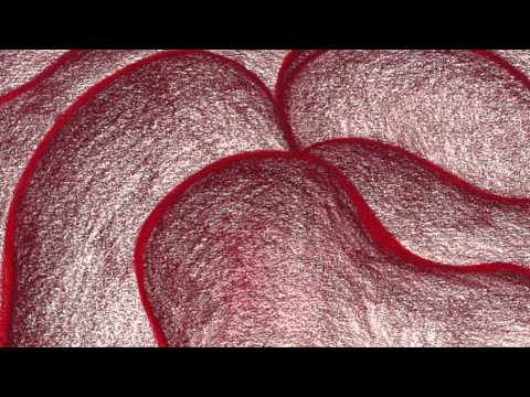 John 6:51-58 Commentary by Dr. Tom Boomershine