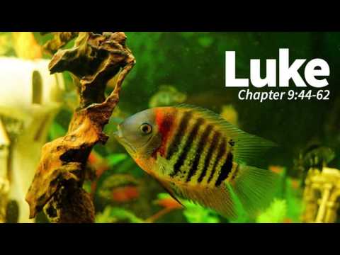 Verse by Verse - Luke 9:44-62