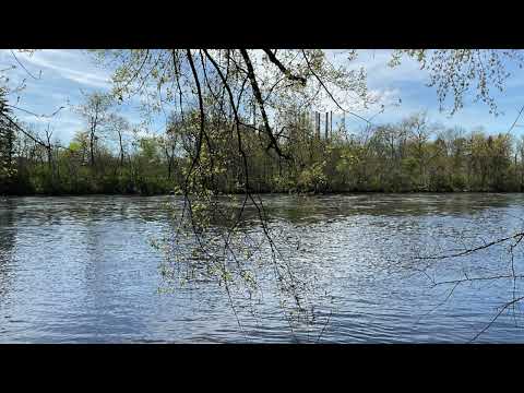 Scripture Verse By Verse (5) Isaiah 51:1-23