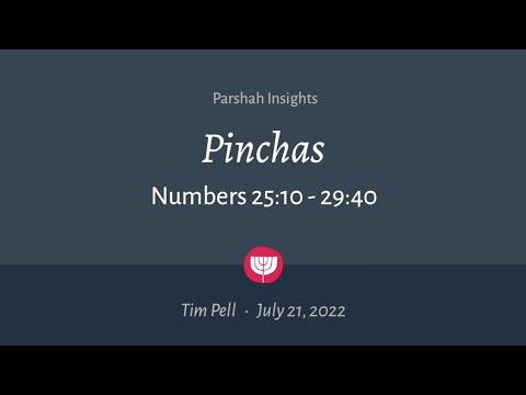 "Pinchas" (Numbers 25:10-29:40) | July 21, 2022