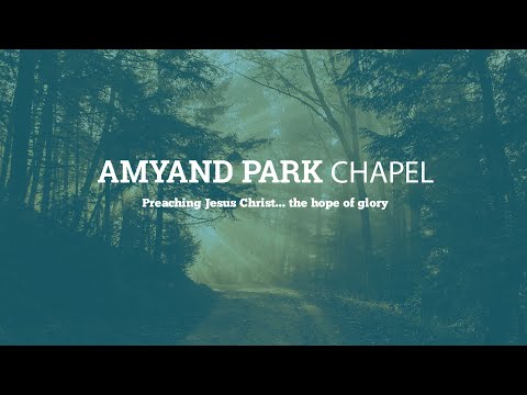 Genesis; A Tree Lovers Guide - Genesis 2:8-17