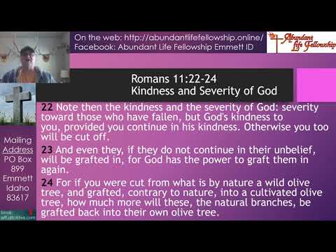 Kindness and Severity of God - Romans 11:22-24