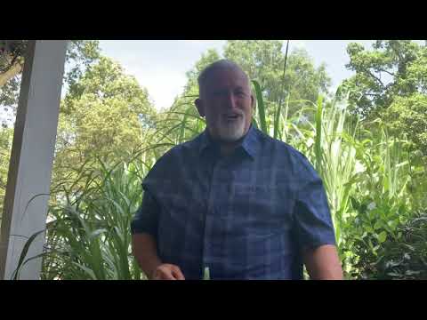 Devotion on Psalm 31:4-5