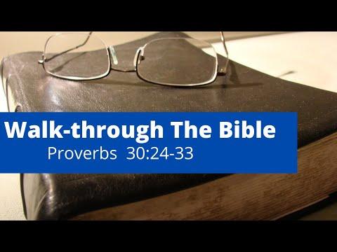 Walk-Through The Bible: Proverbs 30:24-33