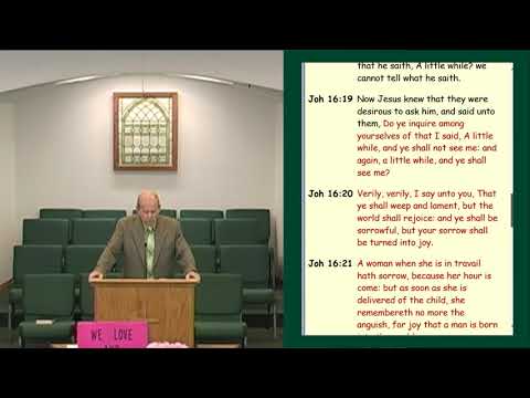 The Joy Of The Resurrection - Psalm 31:11, Matthew 28:6-8, John 19-20