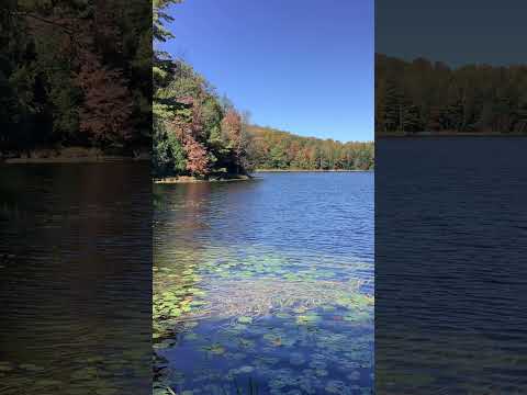 403.  Coffee Break (express) When good isn’t good enough.