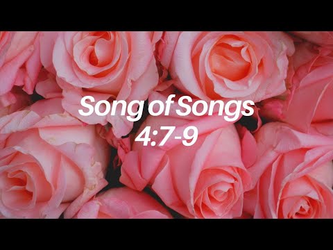 Song of Songs 4:7-9
