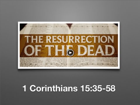 The Resurrection Body (1 Cor 15:35-58)
