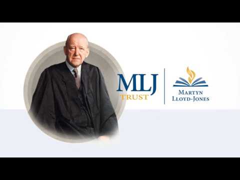 Activities and Life - A Sermon on Ephesians 4:14-16