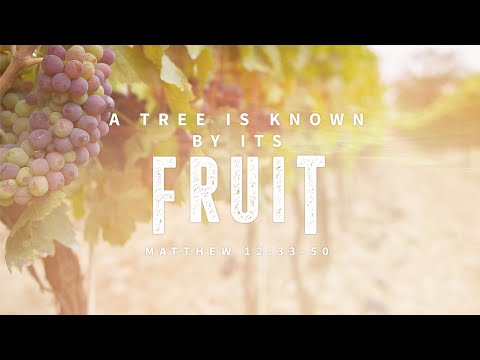Matthew 12:33-50 - A Tree Is Known By Its Fruit