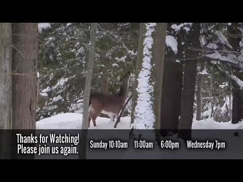 03-07-2021 Sunday Evening Service Pastor George Alquist Colossians 2:6-9 The False god of Christmas