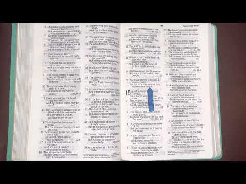 11/14/22, Psalm 115, Proverbs 14, Hebrews 12:1-29, Ezekiel 41:1-42:20 Old & New Testament Readings