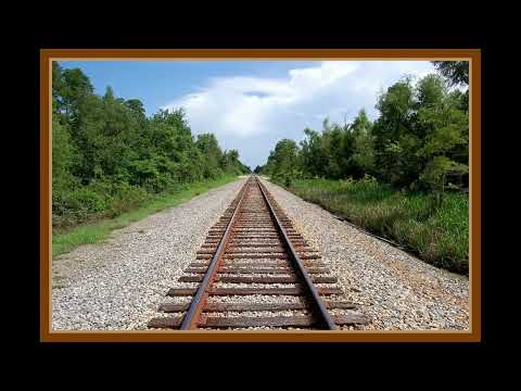 Coffee Break (5 Minutes with God) Psalm 69:13-16