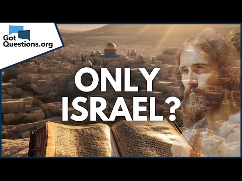 Why did Jesus say that He was sent only to the lost sheep of Israel?  |  GotQuestions.org
