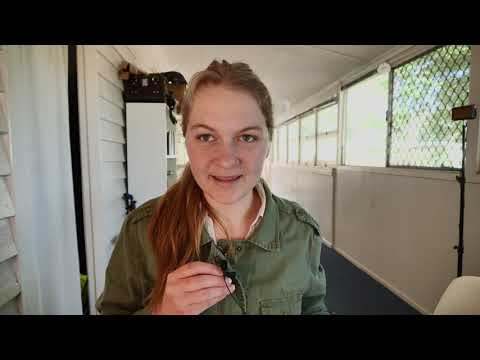 Reading the Bible Cover to Cover || Psalm 118:10 - 119:40