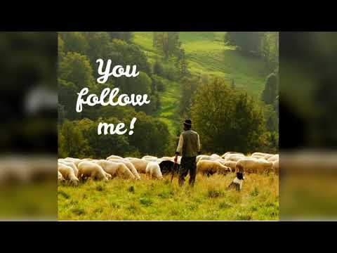 Daily Gospel Reflection????22/05/2021????Year B, Jn. 21:20-25????food for the soul????Fr. Roy Arackal????