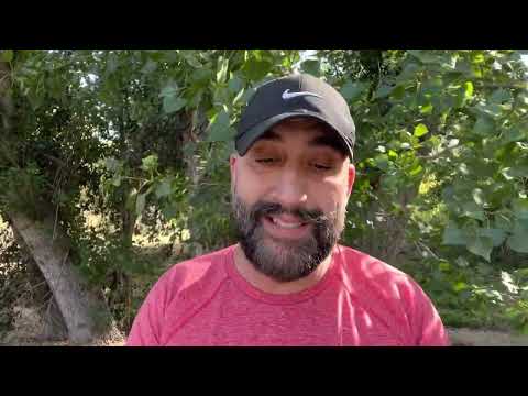 ALIVE IN CHRIST: Ephesians 2:1-22 and Titus 3:1-8