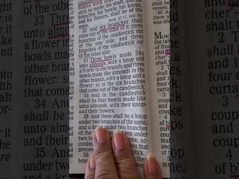 SMRF & TikTok THUR.11th. August 2022 Exodus 25:7-40 & 26:1-13